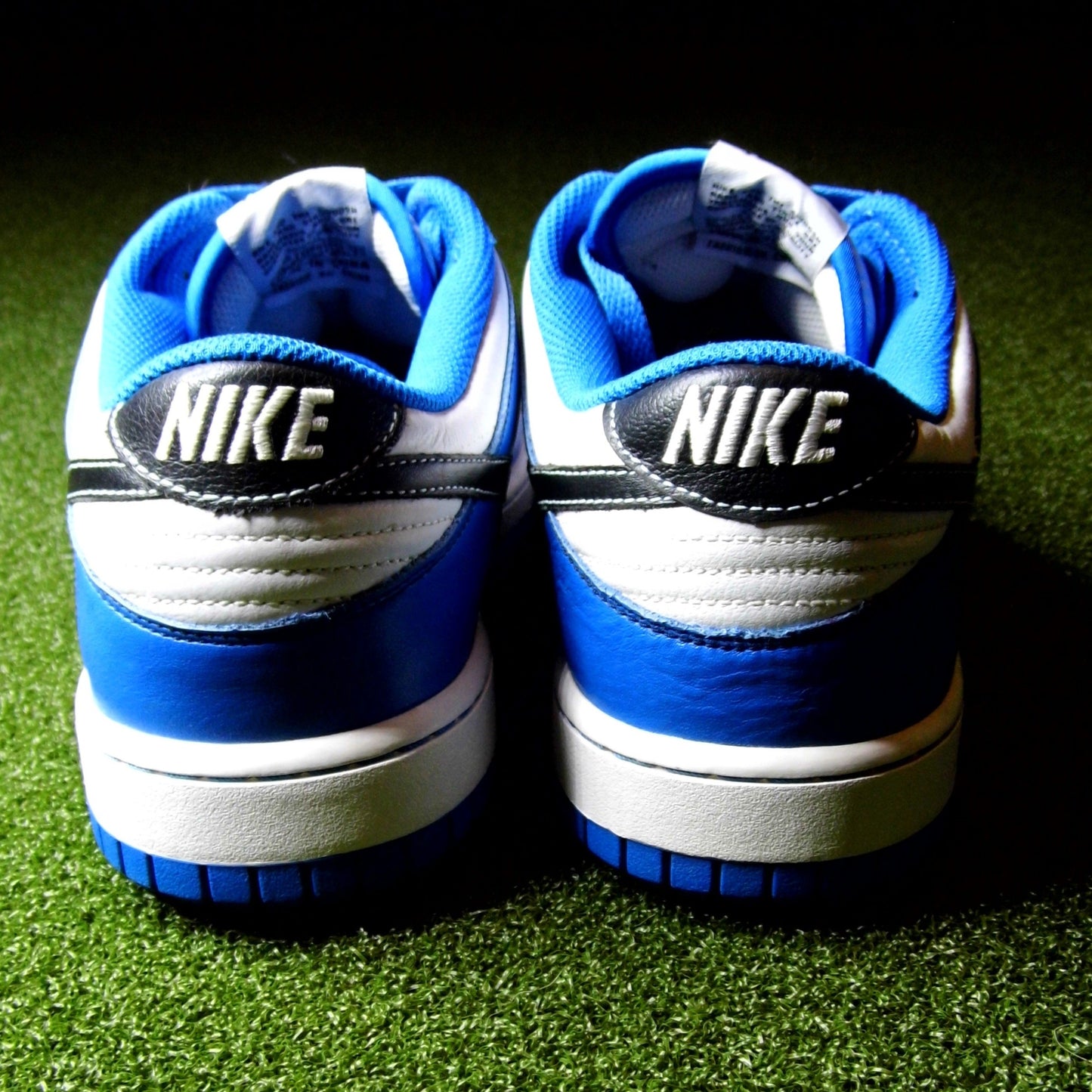 Nike Dunk NG Blue - Sz 10.5
