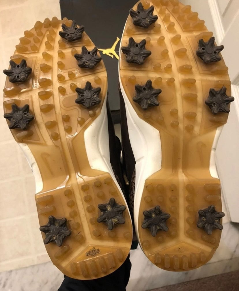 Jordan 3 Brown - Sz 10