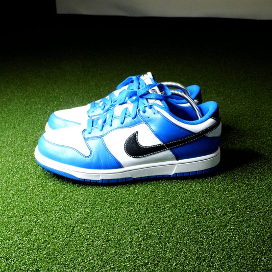 Nike Dunk NG Blue - Sz 10.5W