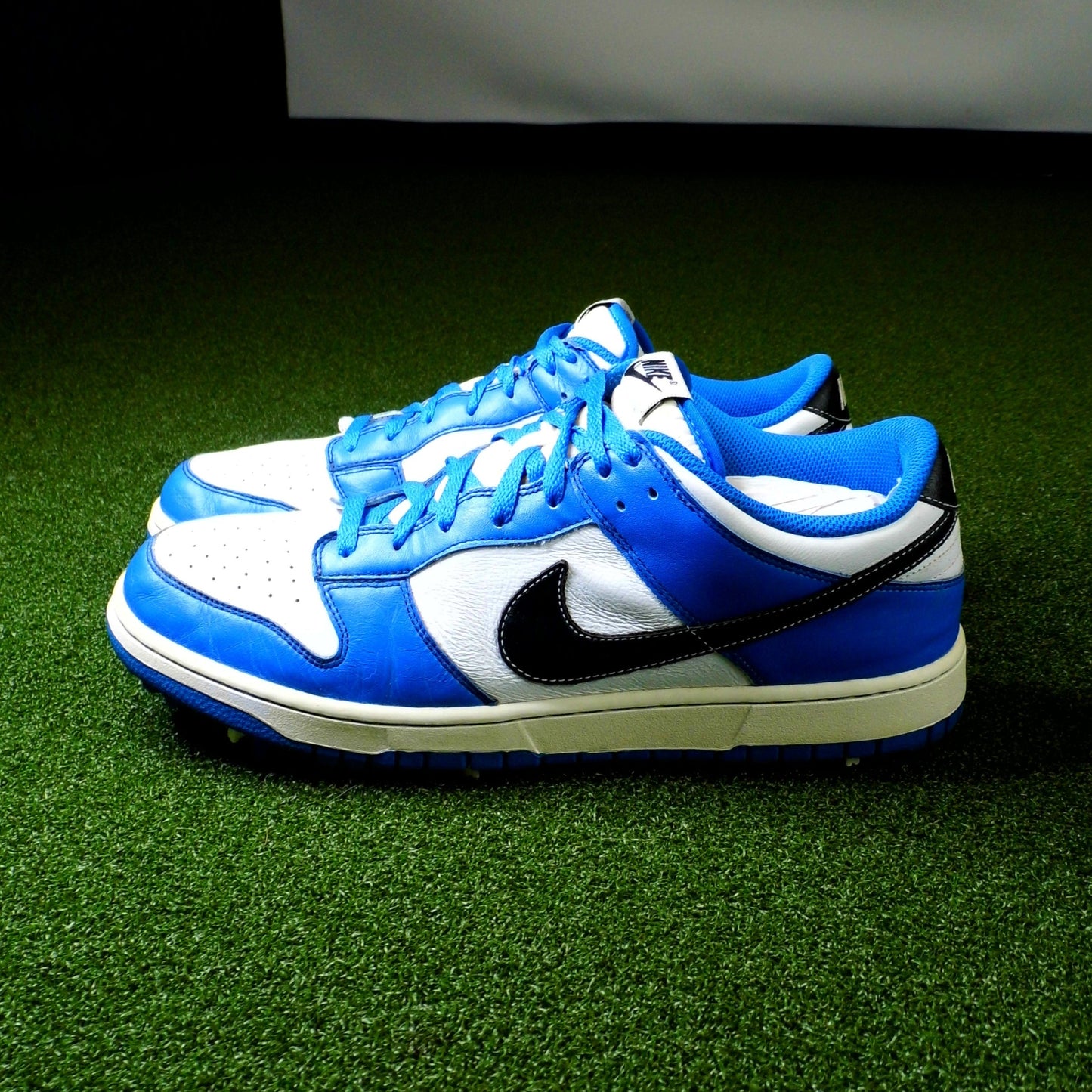 Nike Dunk NG Blue - Sz 13